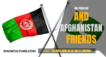 The Complex Friendship Between Pakistan and Afghanistan: A Delicate Balance