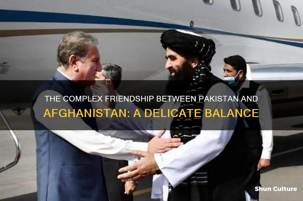 are pakistan and afghanistan friends