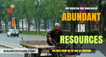 Pakistan and Bangladesh: Resource-Rich Nations or Struggling Economies?