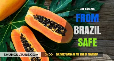 Are Brazilian Papayas Safe? A Comprehensive Guide to Consumption