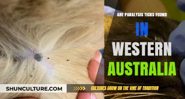 Paralysis Ticks: A Growing Concern in Western Australia?