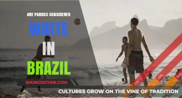 Are Pardos White in Brazil? Exploring Racial Identity and Classification
