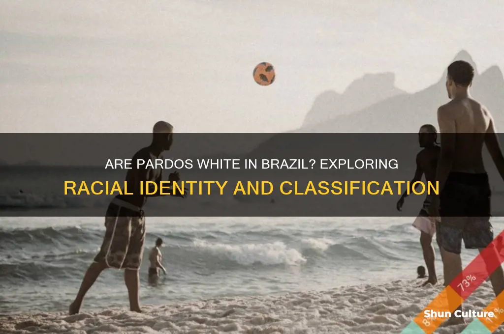 are pardos considered white in brazil