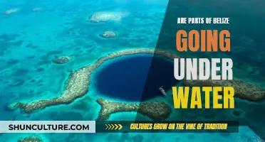 Belize's Future: Will Parts Submerge Underwater?