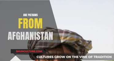 The Pathan Presence: Understanding Their Afghan Origins and Cultural Legacy