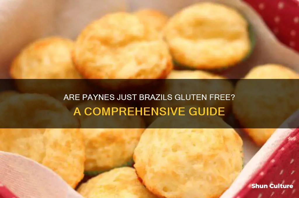 are paynes just brazils gluten free