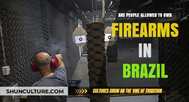 Brazil's Gun Ownership Laws: Rights, Restrictions, and Public Safety Explained