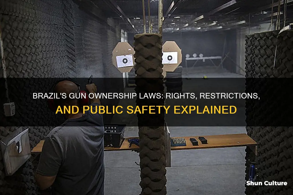 are people allowed to own firearms in brazil