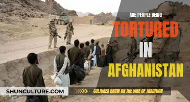 Torture in Afghanistan: Uncovering the Dark Truth Beneath the Surface