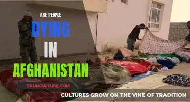 The Human Toll in Afghanistan: A Devastating Cost