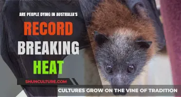 Heat Wave's Death Toll in Australia