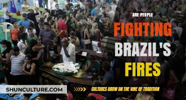 Battling Brazil's Blazes: Communities Unite to Fight Devastating Fires