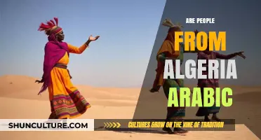 Are Algerians Arabic? Exploring Algeria's Cultural and Ethnic Identity