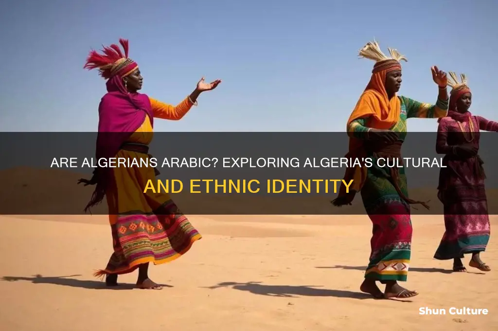 are people from algeria arabic