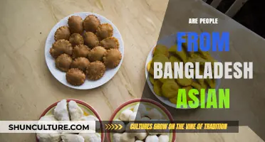 Are Bangladeshis Asian? Exploring Identity and Cultural Connections