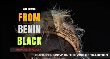 Exploring the Rich Diversity of Ethnicities in Benin