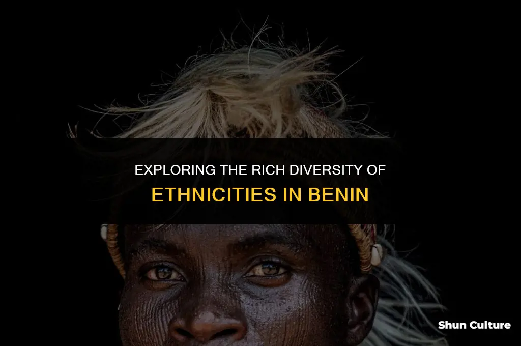 are people from benin black