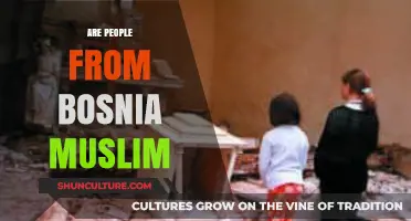 Bosnia's Religious Diversity: Understanding the Muslim Population and Beyond