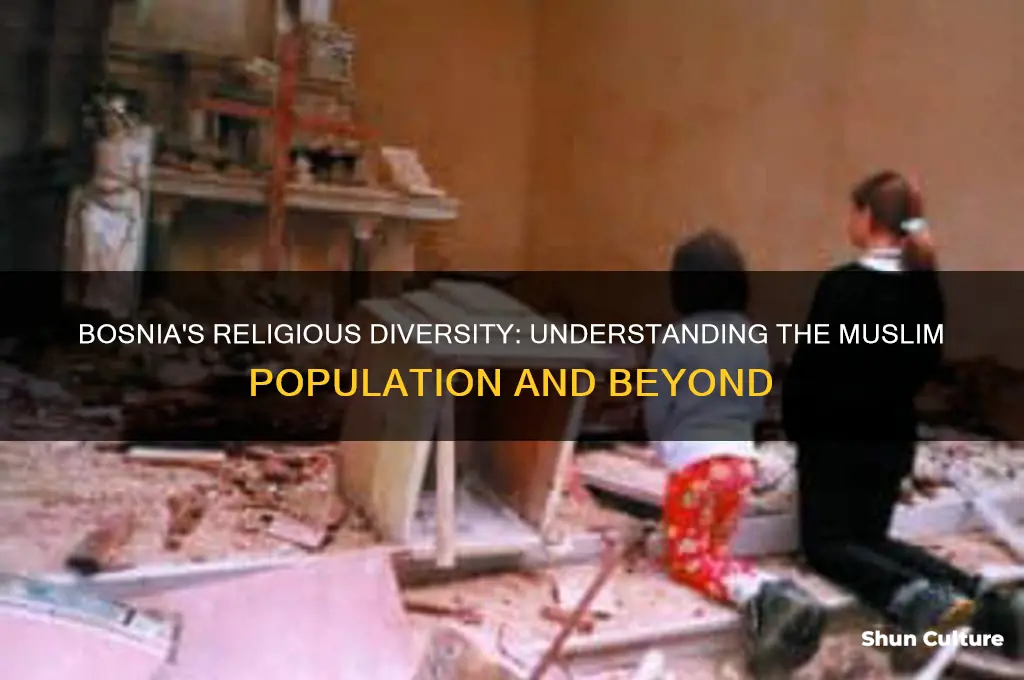 are people from bosnia muslim