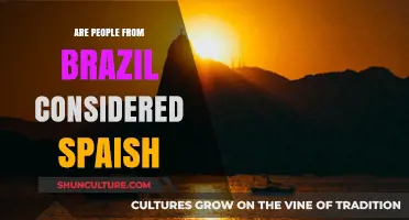 Are Brazilians Spanish? Debunking Common Misconceptions About Brazil's Culture
