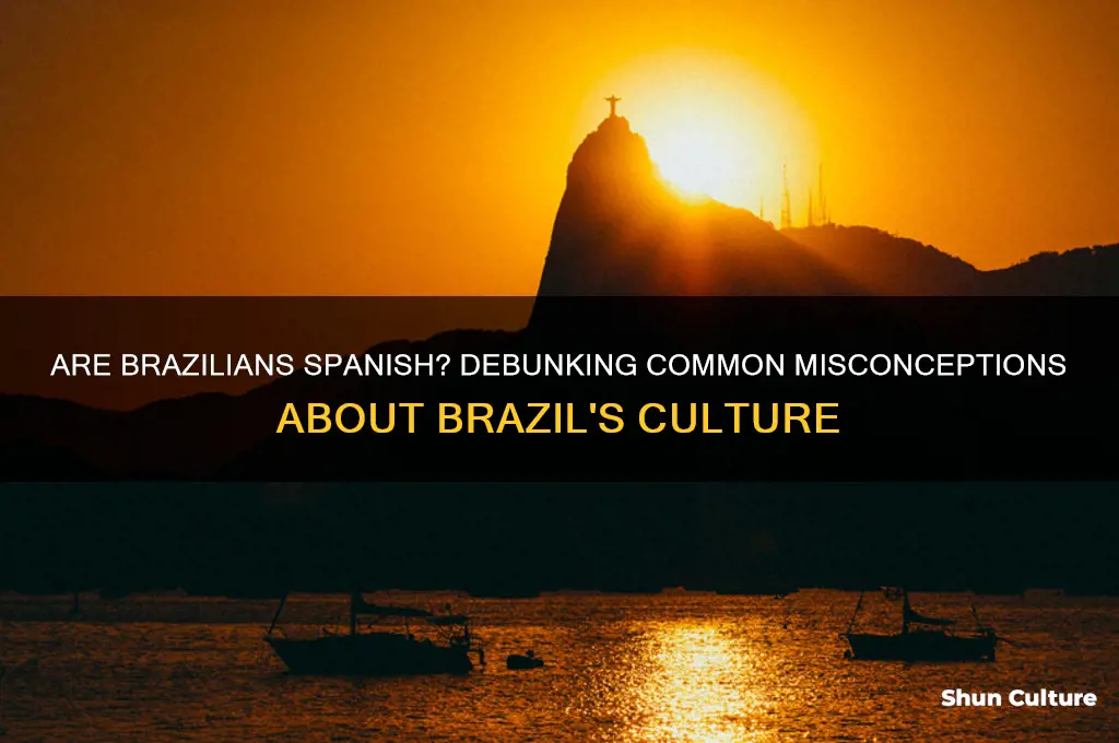 are people from brazil considered spaish