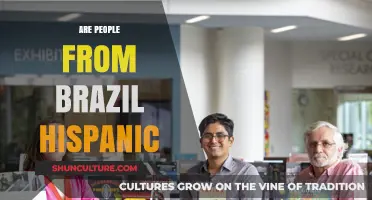 Are Brazilians Hispanic? Unraveling Cultural Identities in Latin America