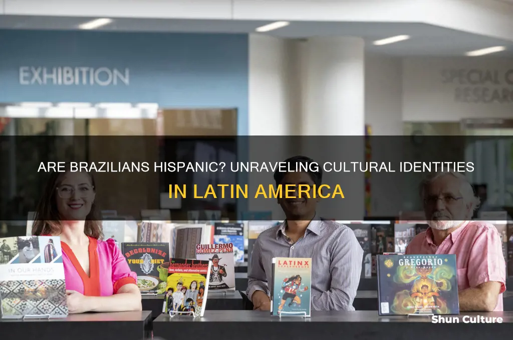 are people from brazil hispanic