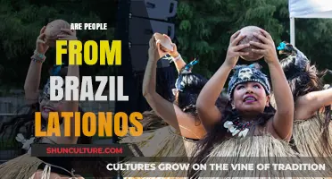 Are Brazilians Latinos? Exploring Cultural Identity in Brazil
