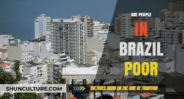 Understanding Brazil's Poverty: Myths, Realities, and Economic Disparities