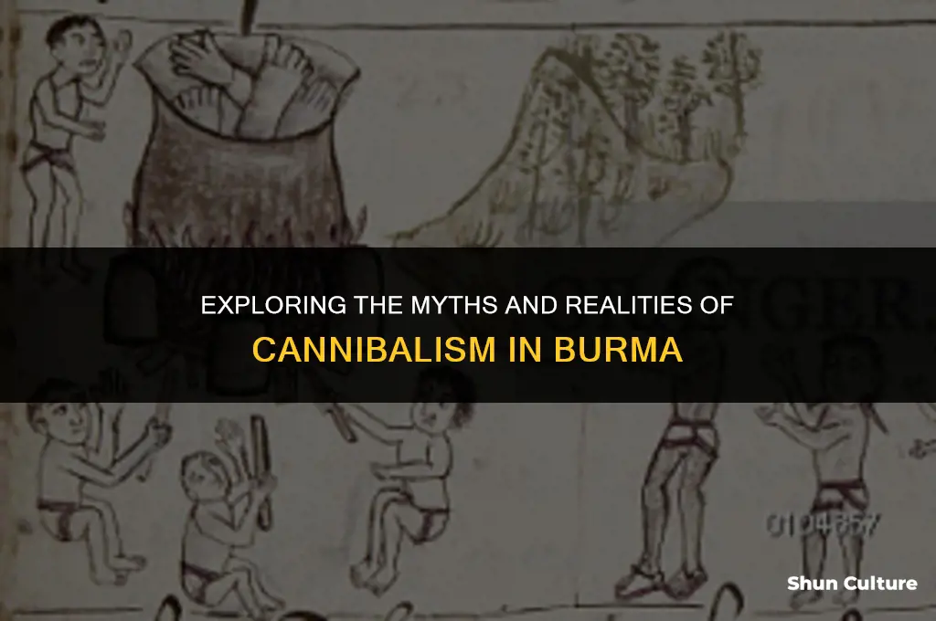 are people in burma cannibal