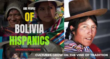 Hispanics in Bolivia: Exploring Cultural Identity and Heritage