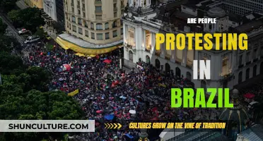 Brazil in Turmoil: Understanding the Reasons Behind Ongoing Protests