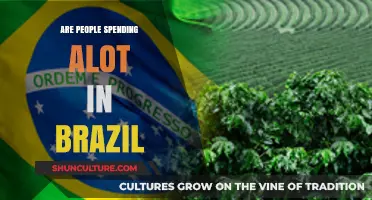 Brazil's Spending Surge: Are Consumers Driving Economic Growth?