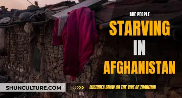 The Hunger Crisis in Afghanistan: A Nation on the Brink