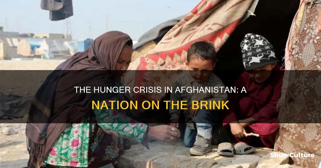 are people starving in afghanistan