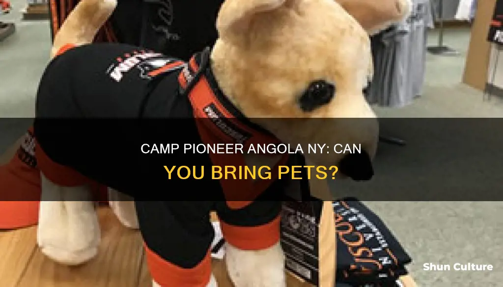 are pets allowed at camp pioneer angola ny