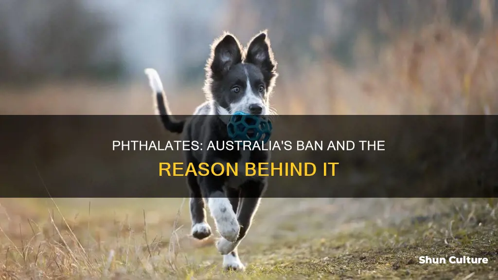 are phthalates banned in australia
