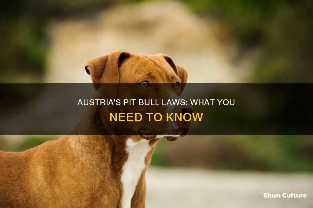 are pit bulls legal in austria