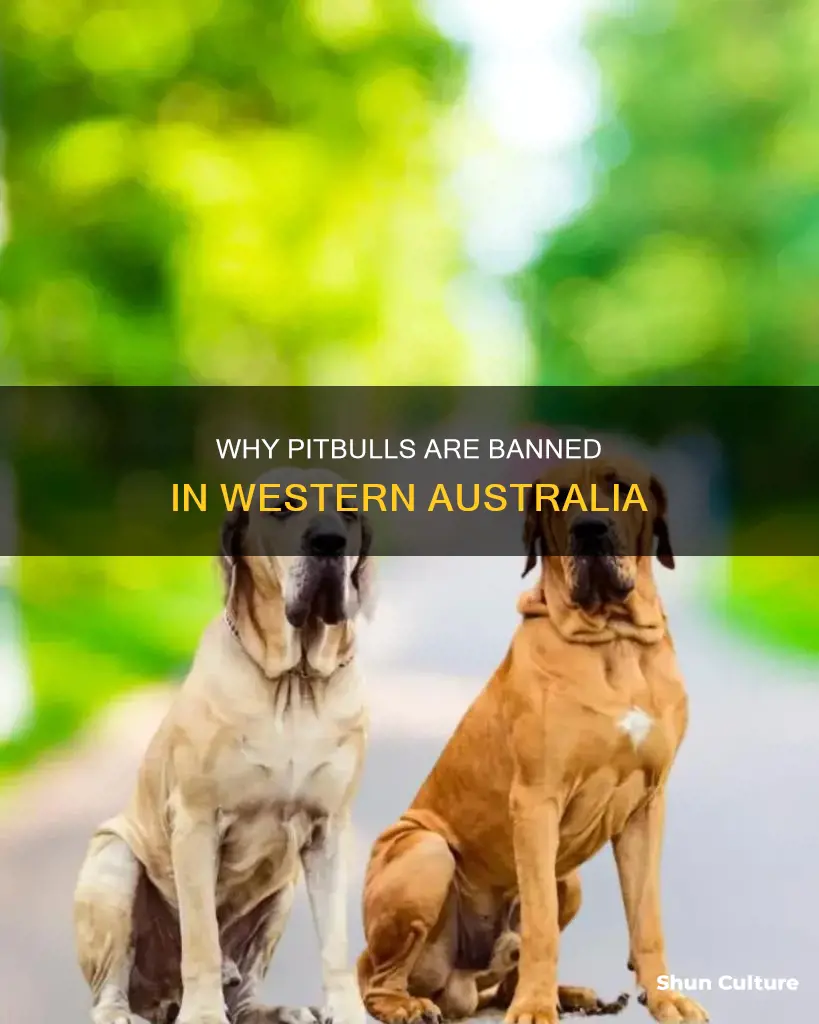 are pitbulls banned in western australia
