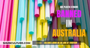 Plastic Straws: Australia's Ban and the Alternatives