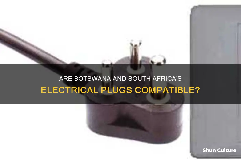 are plugs in botswana same as south africa