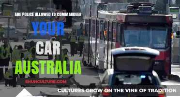 When Can Police Take Control of Your Car?