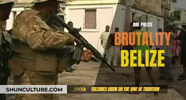 Belize's Police Brutality: A Troubling Trend