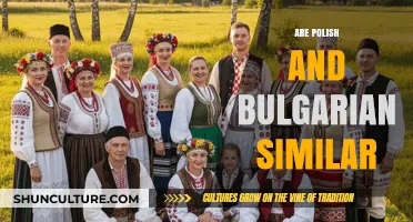 Exploring the Intricacies: Are Polish and Bulgarian Similar?