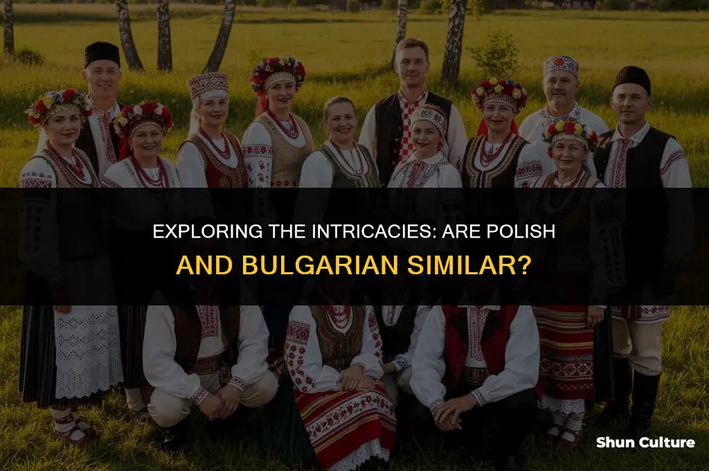 are polish and bulgarian similar