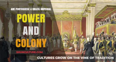 Portuguese & Brazilian Empires: Power Dynamics and Colonial Legacies Explored