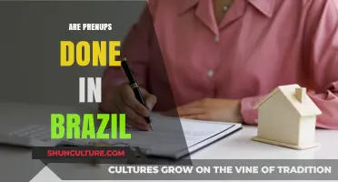 Prenuptial Agreements in Brazil: Legalities, Culture, and Common Practices