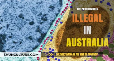 Are Prohormones Illegal in Australia? Legal Status Explained