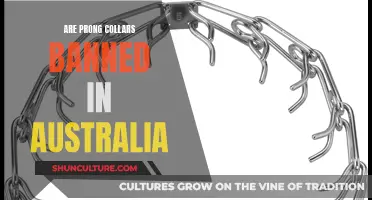 Australia's Prong Collar Ban: What Dog Owners Need to Know