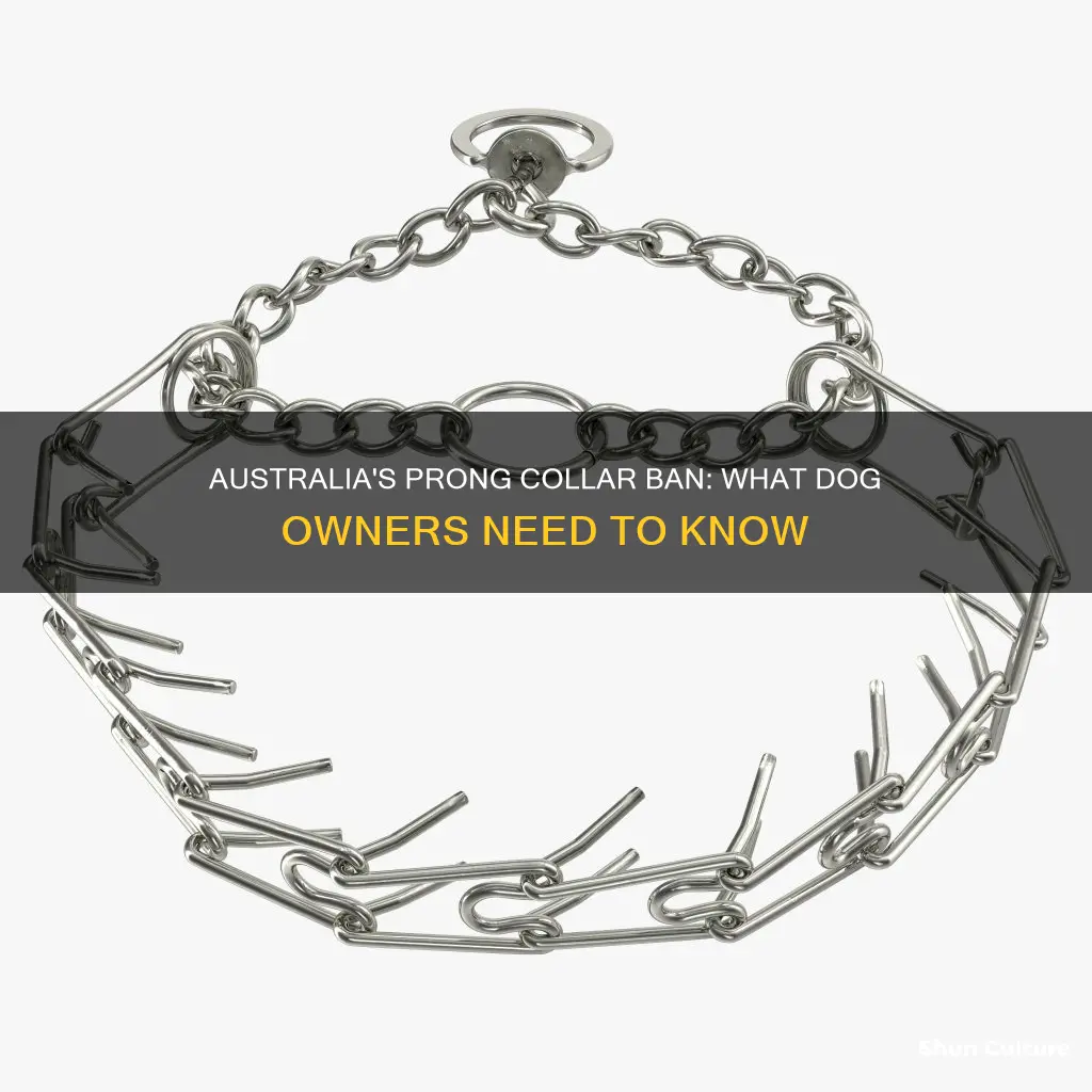 are prong collars banned in australia